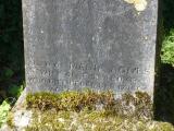 image of grave number 245012
